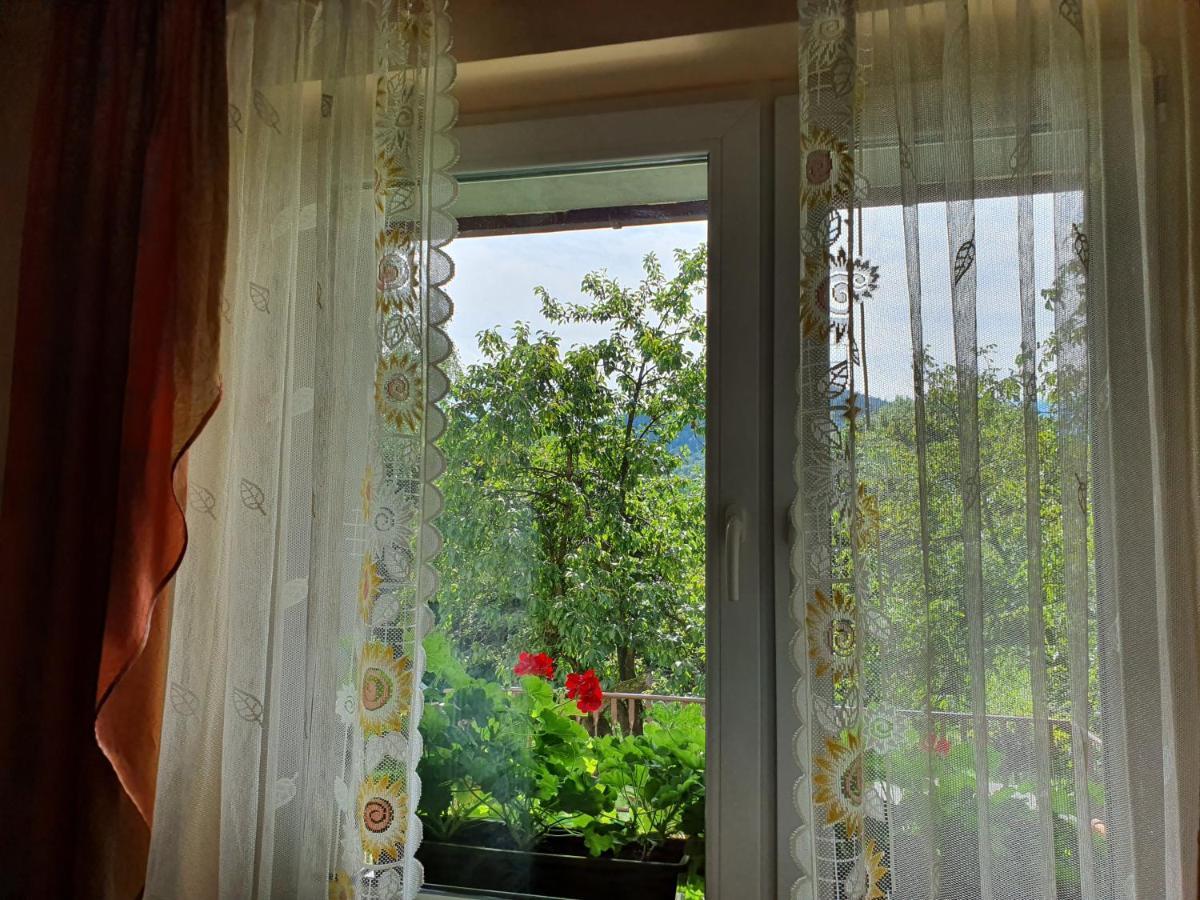 Apartamenty Straconka ,Bielsko-Biała Kültér fotó