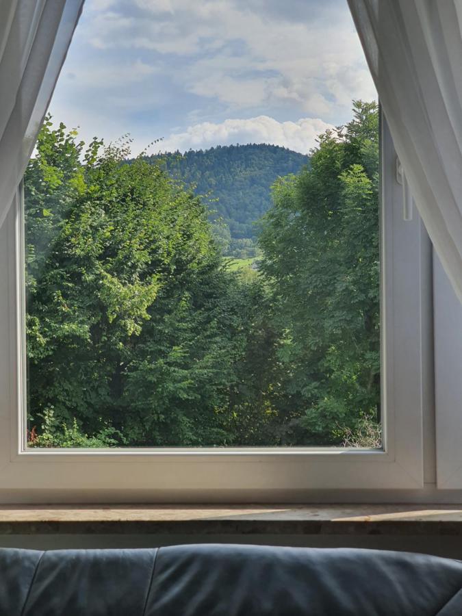 Apartamenty Straconka ,Bielsko-Biała Kültér fotó