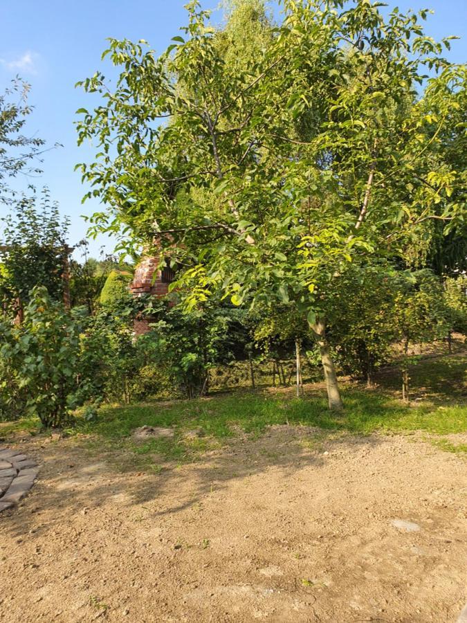 Apartamenty Straconka ,Bielsko-Biała Kültér fotó